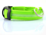 LED Dog Collar - USB Rechargeable