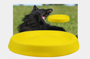 Dogs Throwing Plastic Toys To Keep Your Furry Friend Entertained