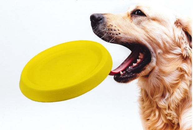 Dogs Throwing Plastic Toys To Keep Your Furry Friend Entertained