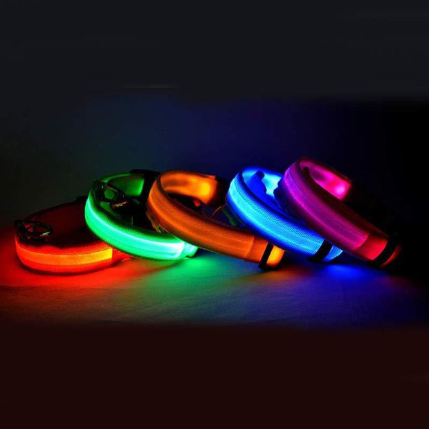 LED Dog Collar - USB Rechargeable