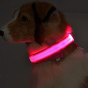 LED Dog Collar - USB Rechargeable