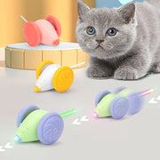 Introducing The Auto Mouse AI. With a USB rechargeable design, it’s always ready for action, and its vibrant multi-colour lights captivate your cat’s attention. Perfect for busy pet owners