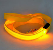 LED Dog Leash - USB Rechargeable