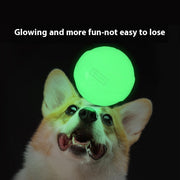 Luminous Dog Molar Elastic Rubber Ball - Bite-Resistant Toy for Dogs