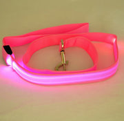 LED Dog Leash - USB Rechargeable